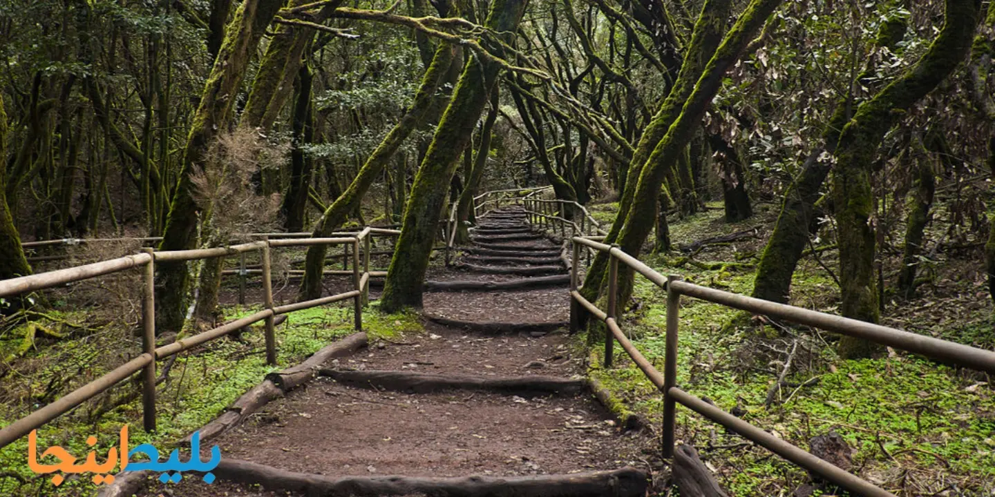 پارک ملی گارجونای
